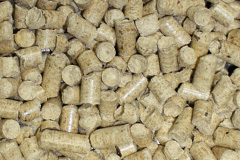 Ledstone biomass boiler costs